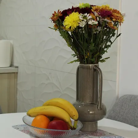 Zemun Apartment *
